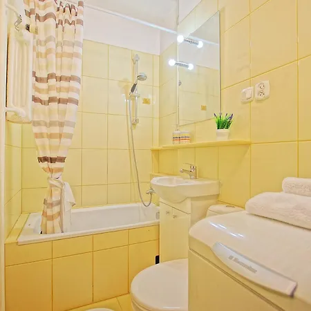 Apartament Silva Apartment *